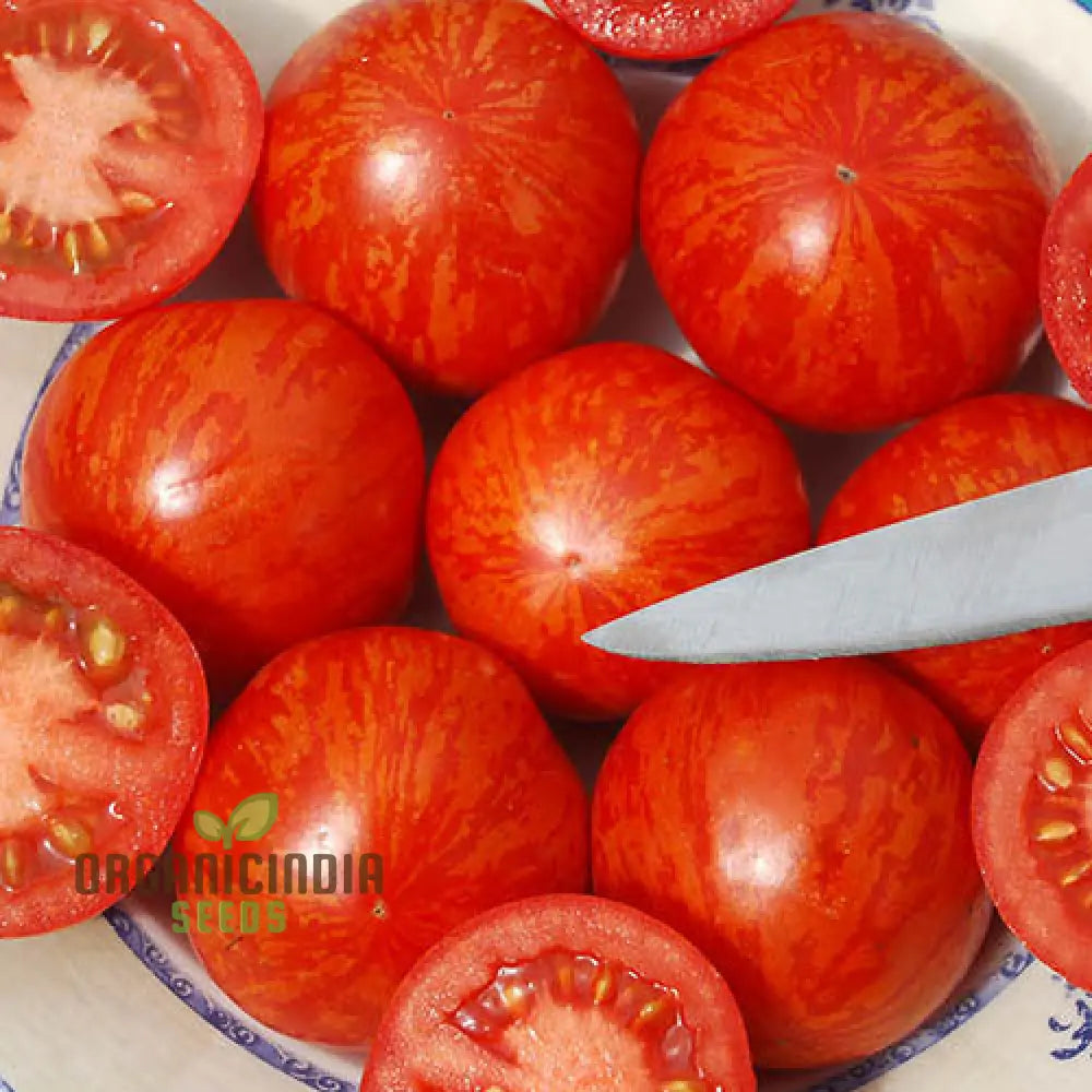 Tomato Red Zebra Seeds For Home Gardening - Heirloom Vegetable Vibrant Striped Tomatoes