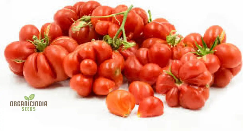 Tomato Reise Seeds - Premium Quality For Gardening | Enhance Your Garden Today