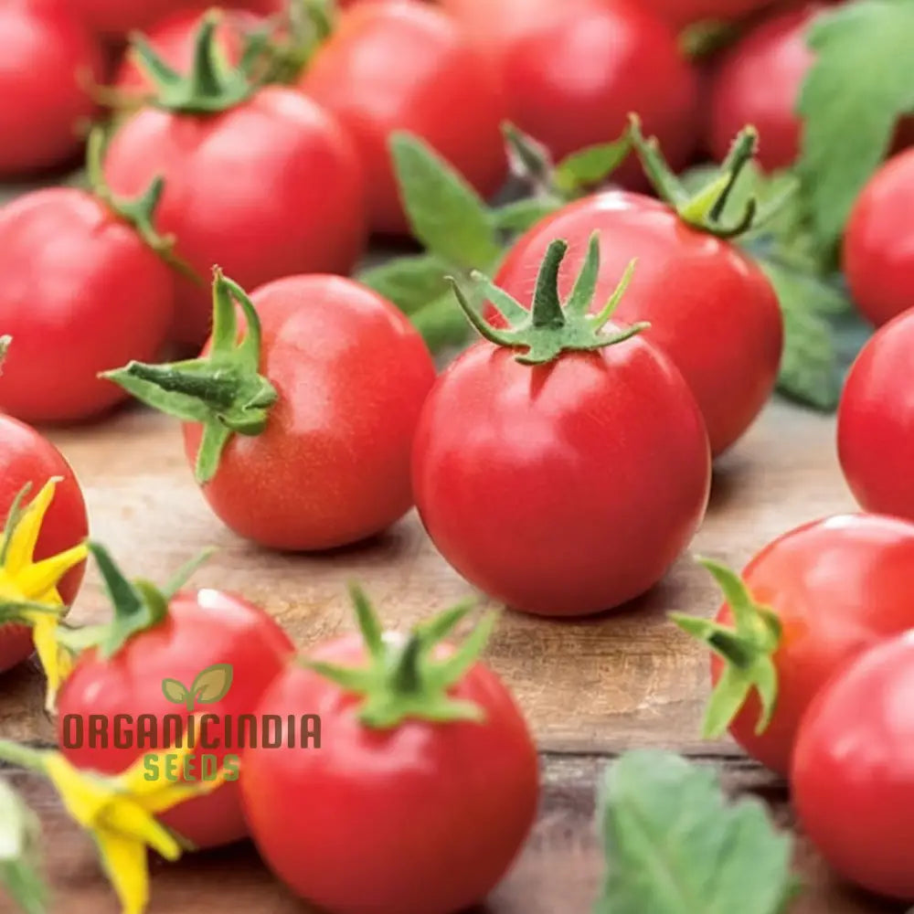 Tomato Rubinka Seeds - Grow Rich And Flavorful Tomatoes In Your Garden