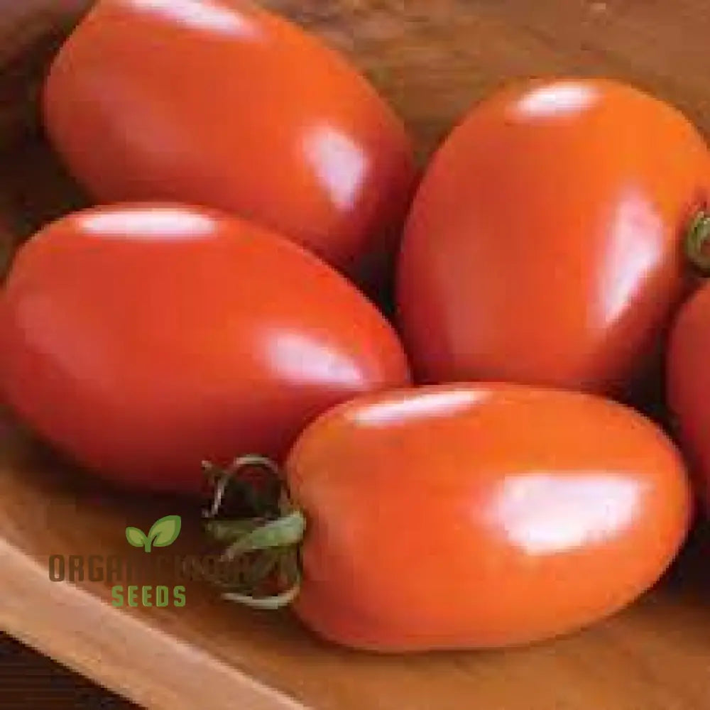 Tomato Seeds - Amish Paste For Juicy Harvests | Premium Garden Planting