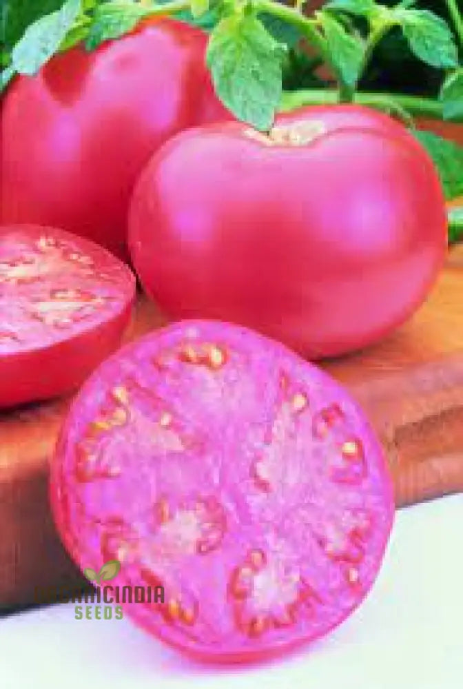 Tomato Seeds - Chef’s Choice Pink F1 | Premium Gardening