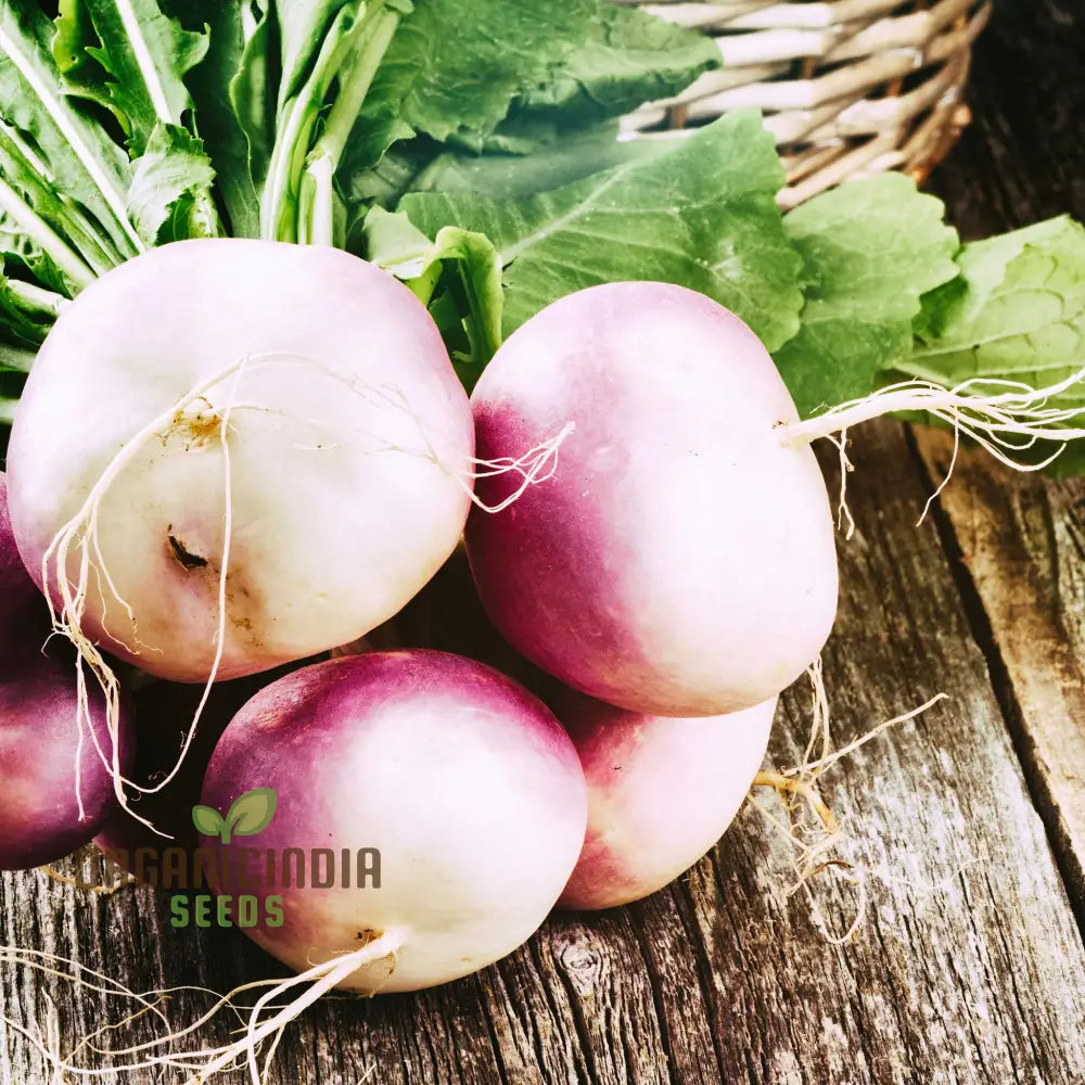 Turnip - Heirloom Mix Vegetable Seeds For Planting Premium Collection For Your Garden