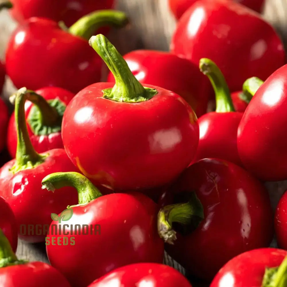 Vegetable Gardening With Hot Chilli Pepper ’Large Red Cherry’ A Comprehensive Guide To Planting