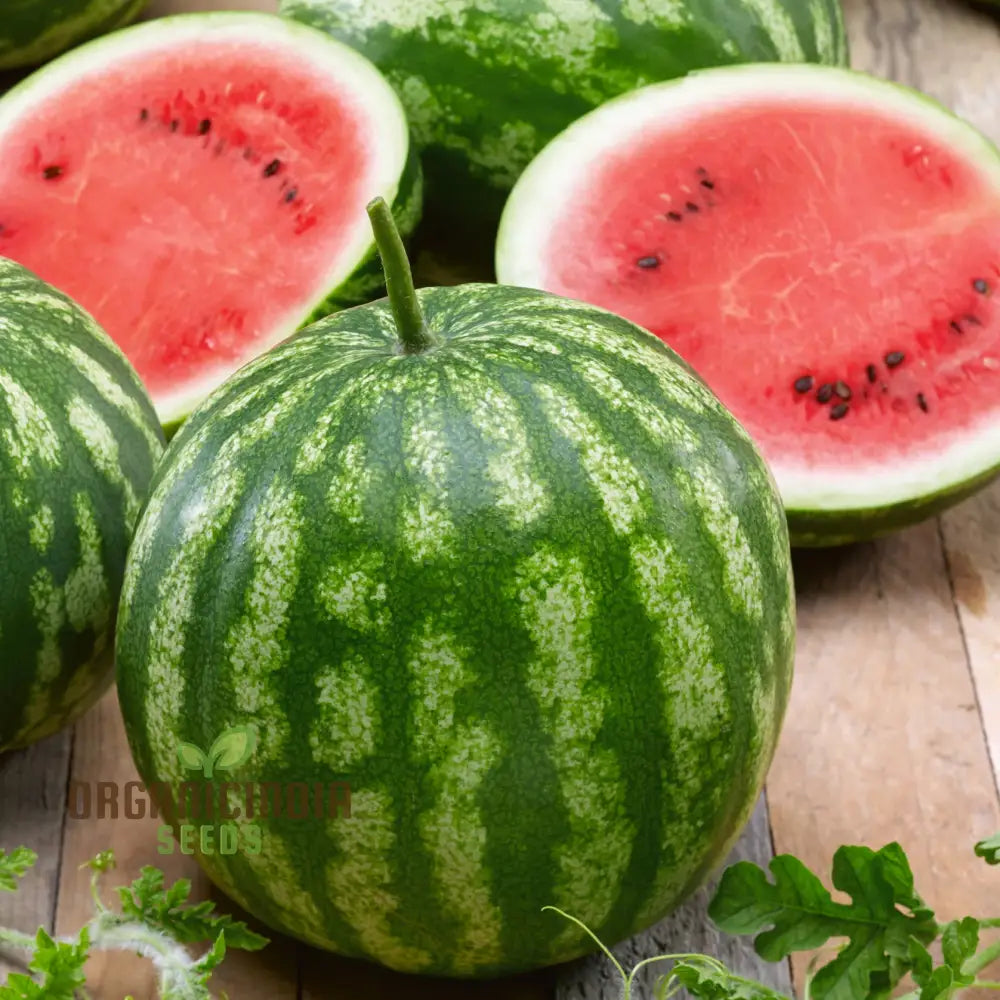 Watermelon - Heirloom Mix Seeds | Premium Quality For Planting & Gardening Organic Variety