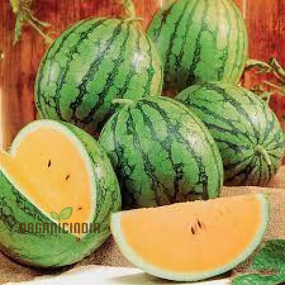 Watermelon - Heirloom Mix Seeds | Premium Quality For Planting & Gardening Organic Variety