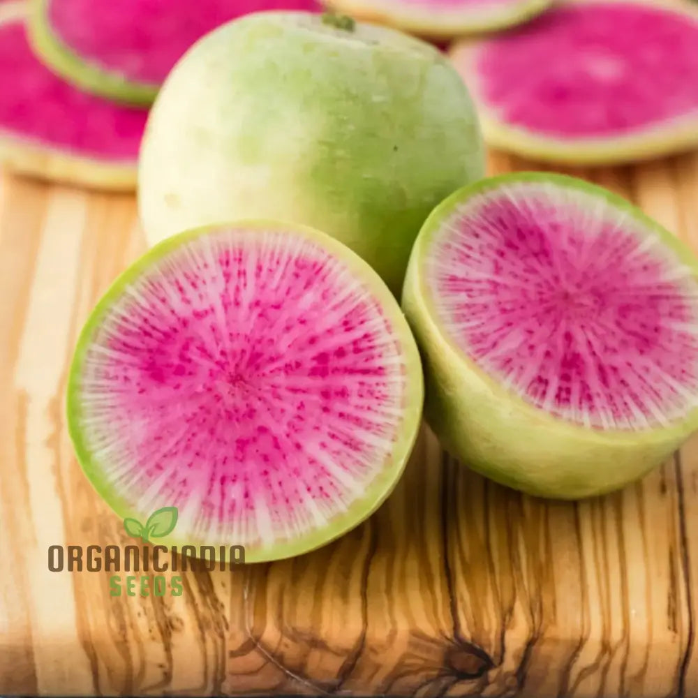 Watermelon Radish Seeds For Planting Heirloom Non Gmo Plant & Grow In Home Outdoor Garden (100