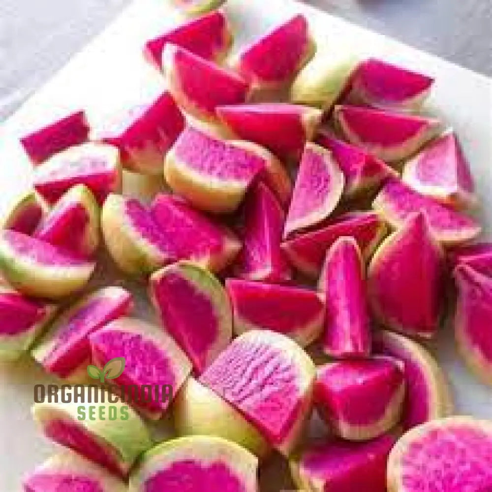 Watermelon Radish Seeds For Planting Heirloom Non Gmo Plant & Grow In Home Outdoor Garden (100