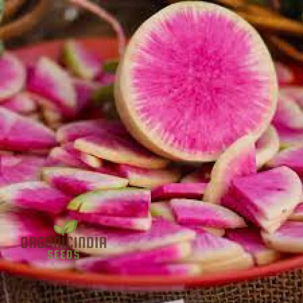 Watermelon Radish Seeds For Planting Heirloom Non Gmo Plant & Grow In Home Outdoor Garden (100