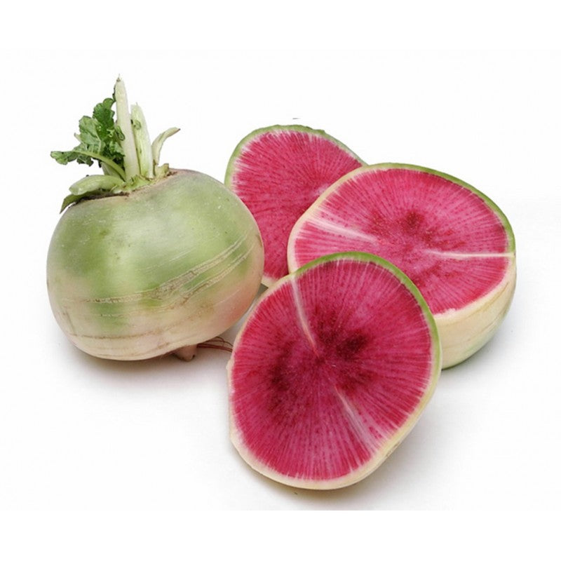 Watermelon Radish Seeds for Planting Heirloom Non GMO, Plant & Grow Radish in Home Outdoor Garden