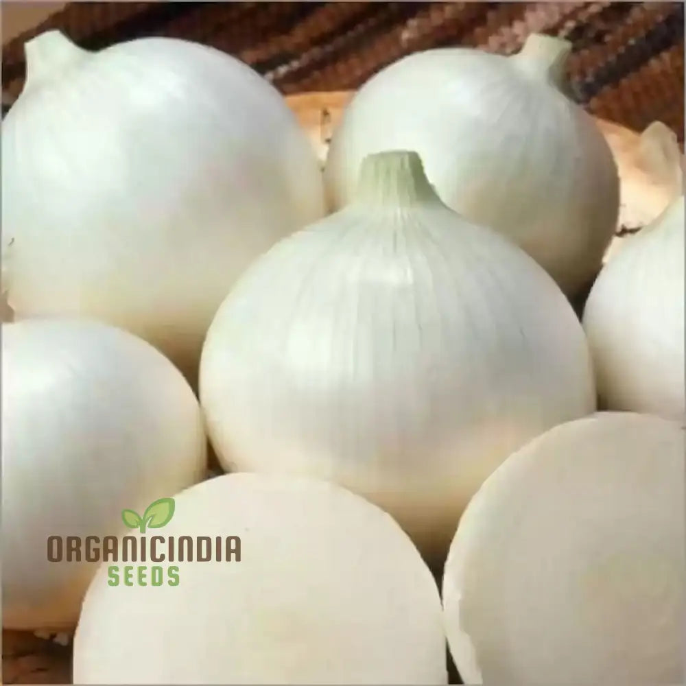 White Onion Vegetable Seeds Expert Planting And Gardening Tips For Growing Flavorful Additions To