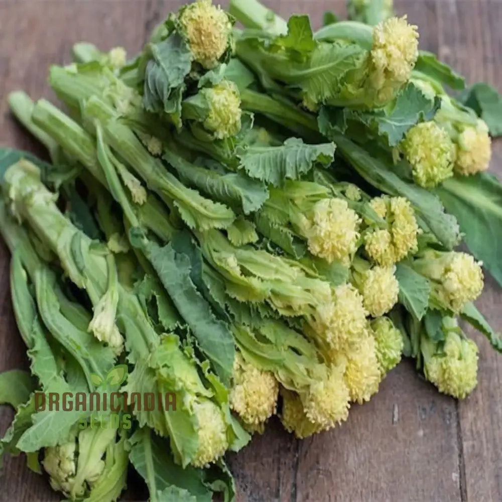 White Sprouting Broccoli From Seeds Comprehensive Planting And Gardening Guide For Cultivating