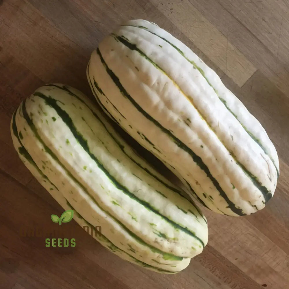 ’Winter Squash Delicata Vegetable Seeds Heirloom Sweet Flavor Ideal For Baking And Roasting