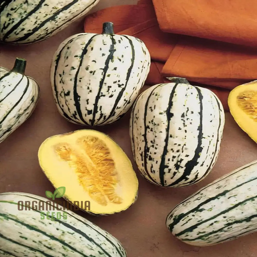 ’Winter Squash Delicata Vegetable Seeds Heirloom Sweet Flavor Ideal For Baking And Roasting