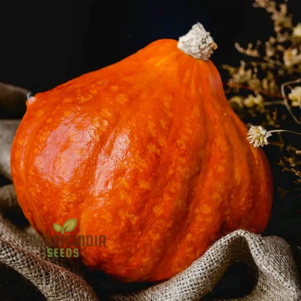 Winter Squash Golden Hubbard Seeds Cultivating Nutritious And Flavorful With Expert Tips For