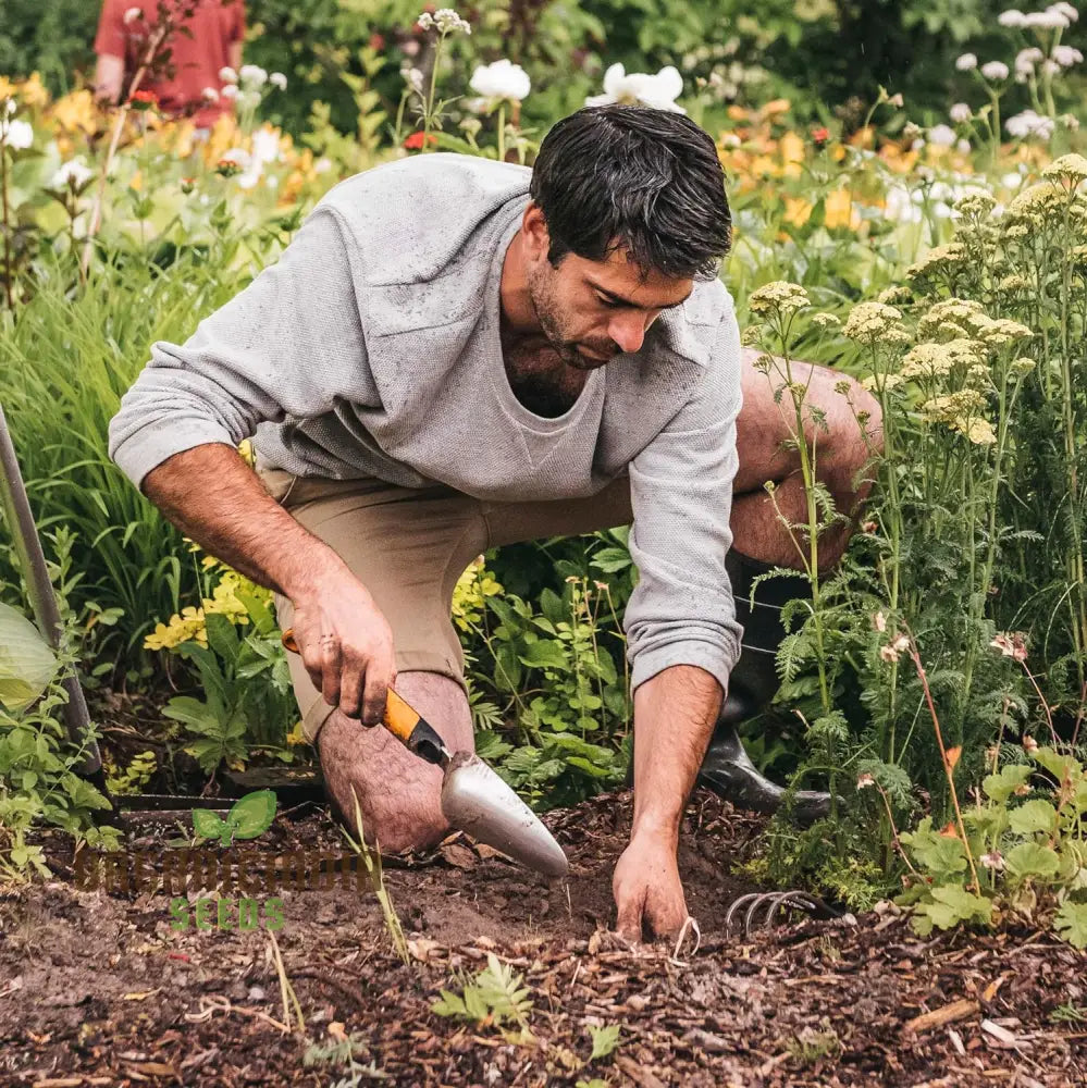 Xact Garden Hand Trowel - Black/Silver | Organicindiaseeds