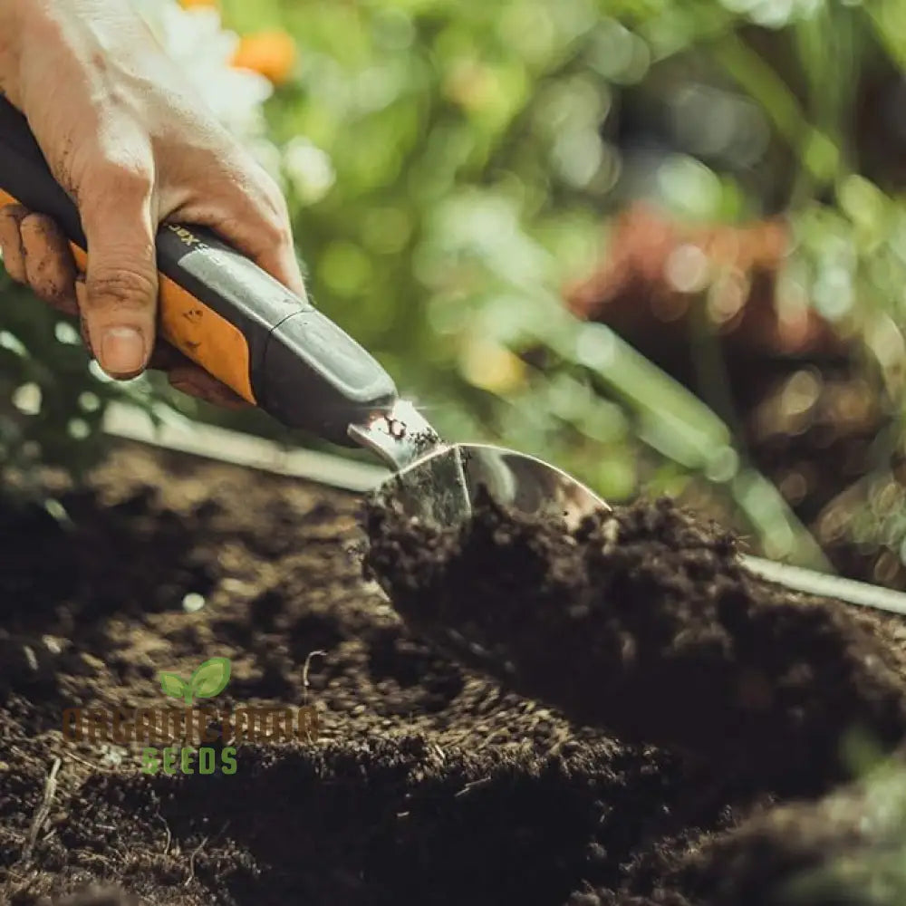 Xact Garden Hand Trowel - Black/Silver | Organicindiaseeds