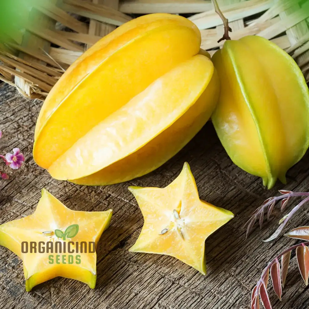 Yellow Averroes Carambola Premium Quality New Fresh Fruit Seeds For Planting Enhance Your Garden