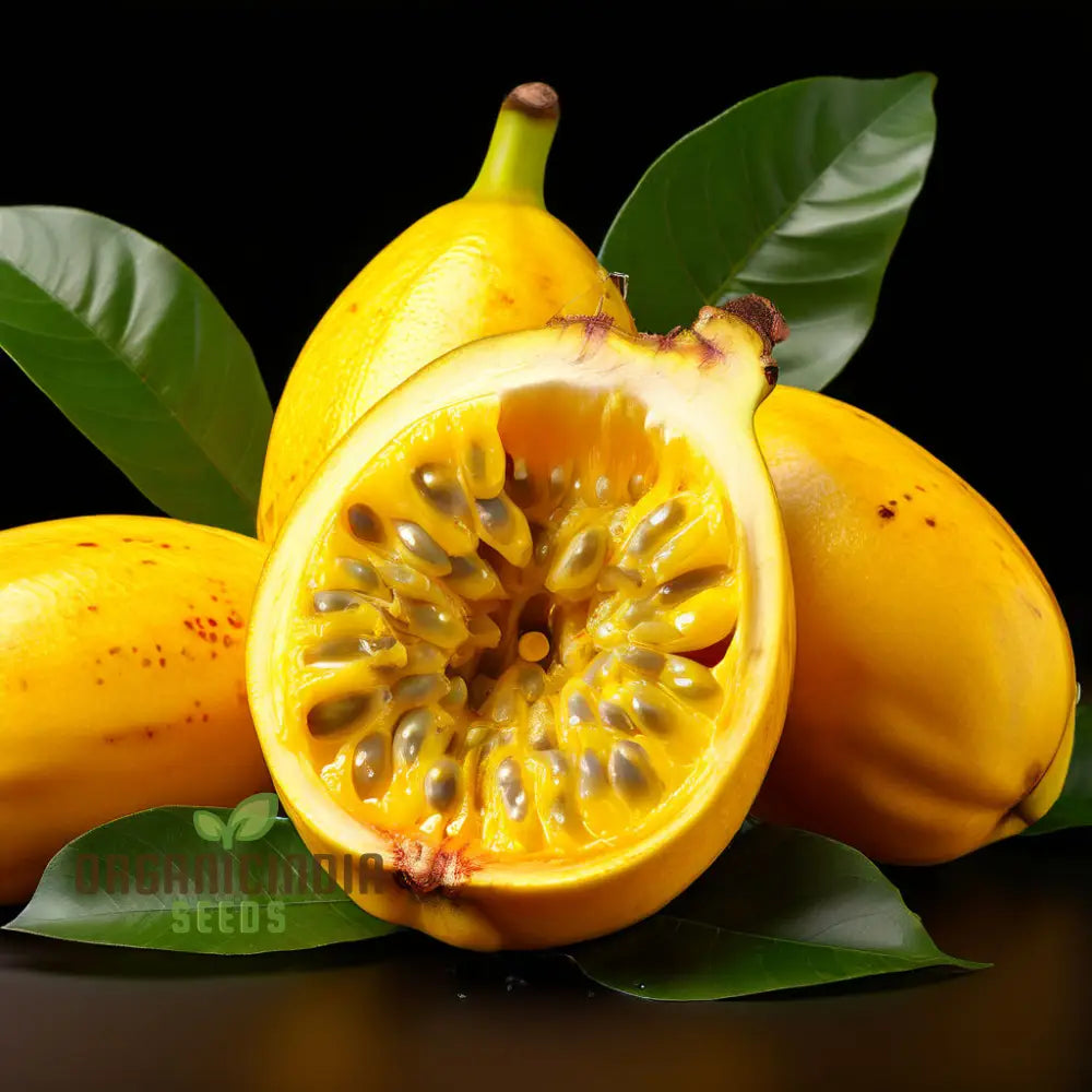 Yellow Banana Passion Fruit Seeds Exotic And Sweet Tropical Flavor Vibrant Delicious Garden