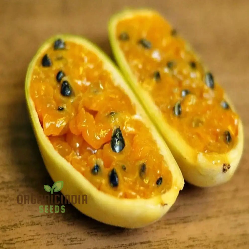 Yellow Banana Passion Fruit Seeds Exotic And Sweet Tropical Flavor Vibrant Delicious Garden