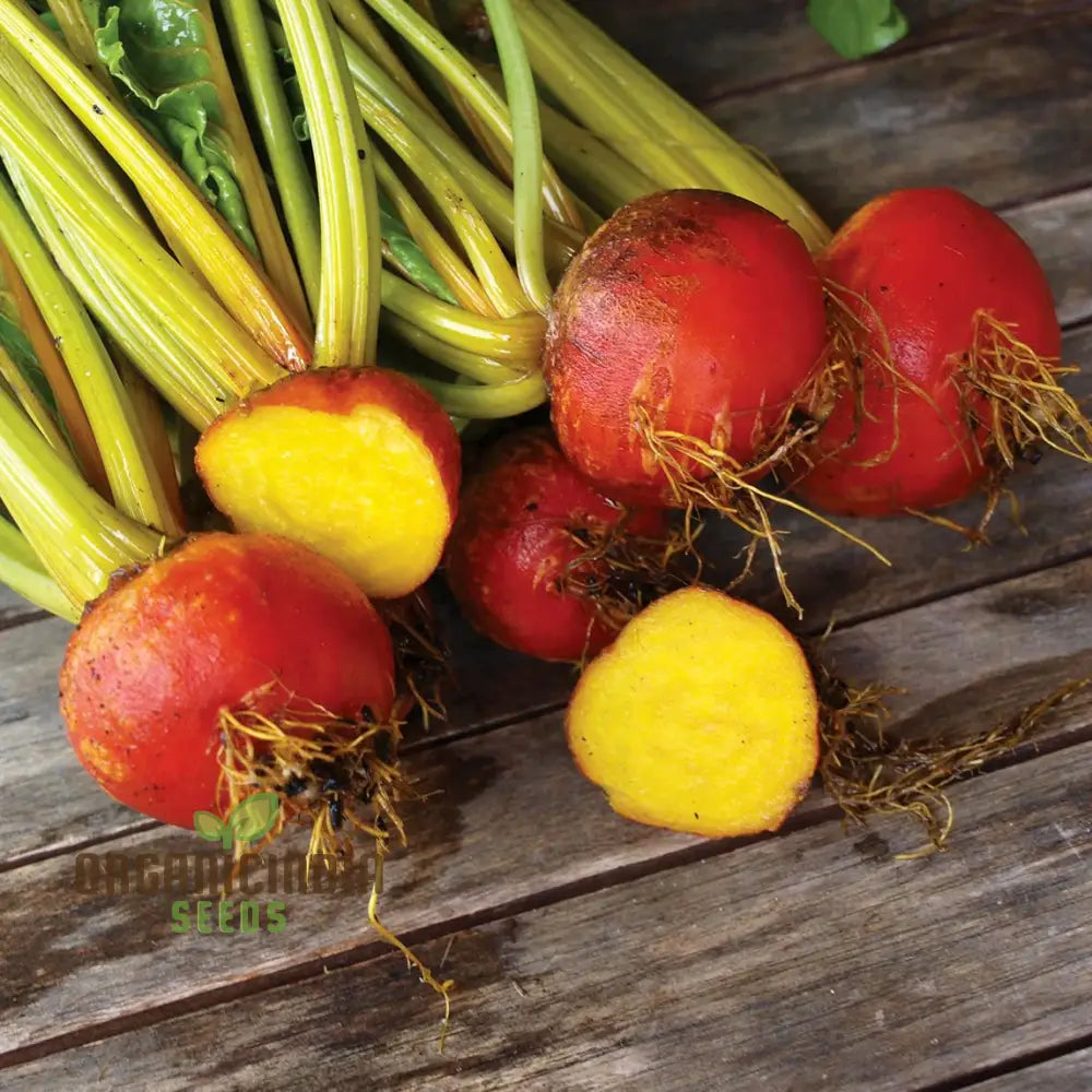 Yellow Beetroot Boldor F1 Vegetable Seeds For Planting Premium Quality Gardening