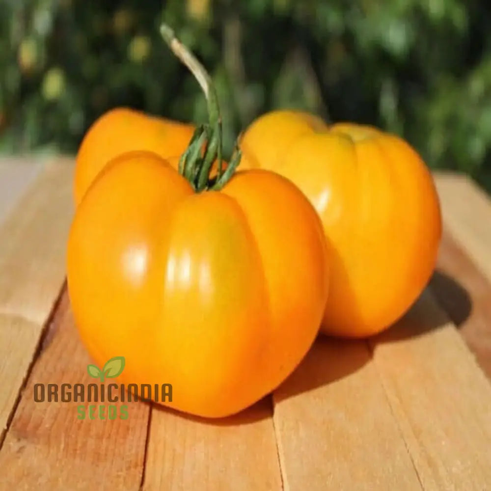 Yellow Kellogg’s Tomato Vegetable Seeds - Grow Deliciously Sweet And Juicy Tomatoes