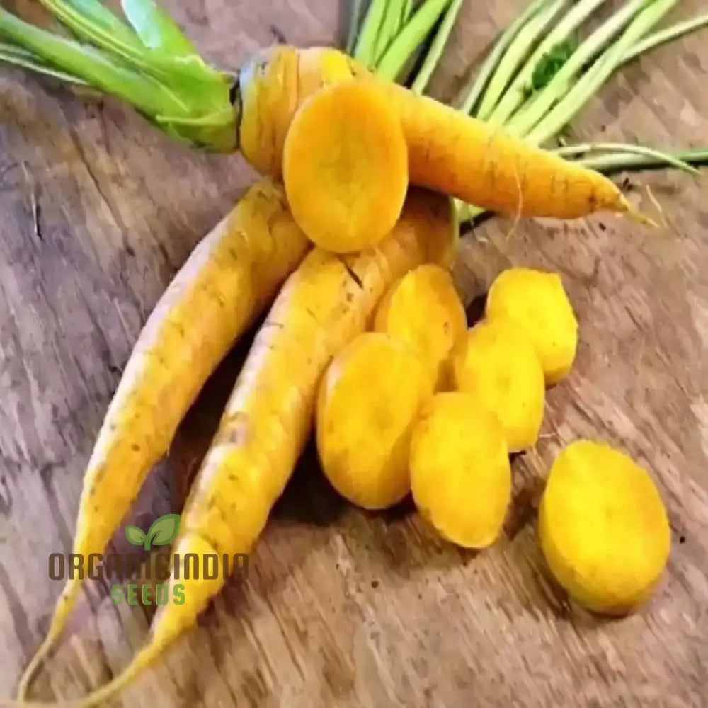 Yellowstone Carrot Seeds - Vibrant Yellow Roots For Nutritious And Sweet Harvests Vegetable